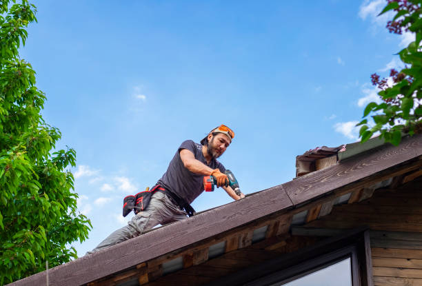 Best Metal Roofing Installation  in Carbon Cliff, IL