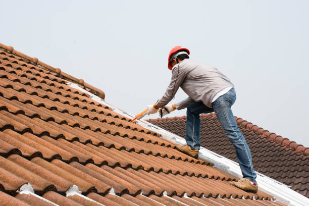 Roof Insulation in Carbon Cliff, IL