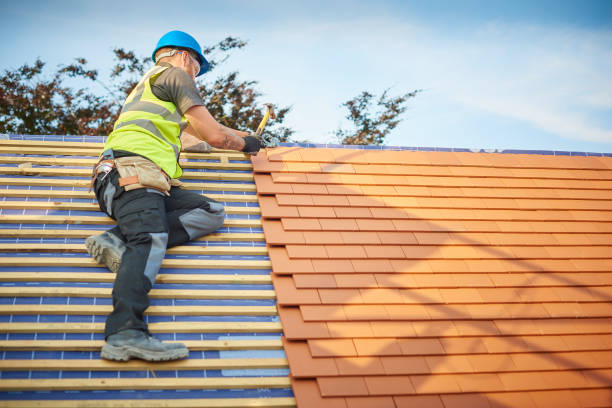 Best Roof Ventilation Installation  in Carbon Cliff, IL